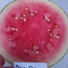 Dixie Queen Watermelon Seeds Fresh Seeds Fast Shipping