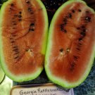 Georgia Rattlesnake Watermelon Seeds Fresh Seeds Fast Shipping