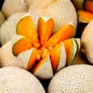 Honey Rock Cantaloupe Seeds Very Sweet 7 Pound Fruits Fresh Seeds Fast Shipping