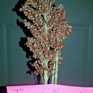 Iowa Sweet Sorghum 30 Seeds Very Sweet Syrup Type Fresh Seeds Fast Shipping