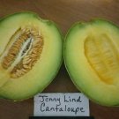 Jenny Lind Melon Seeds For Many Melon Varieties Fresh Seeds Fast Shipping