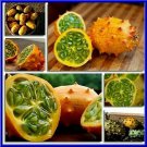Kiwano Horned Melon Seeds Sweet Delicious Fresh Seeds Fast Shipping