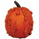 Knucklehead Pumpkin With Over 900 Seed Varieties Fresh Seeds Fast Shipping