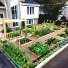 Large Garden Survival Garden Emergency Food Seeds 50 Kinds Usa Seeds Fresh Seeds Fast Shipping