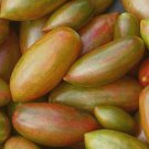 Lucky Tiger Tomato Seeds Fresh Seeds Fast Shipping