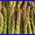Mary Washington Asparagus Seeds Great Tasting Tender Asparagus Fresh Seeds Fast Shipping