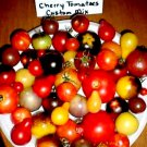 Mix Of 37 Kinds Of Cherry Tomatoes 100 Seeds Fresh Seeds Fast Shipping