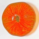 Orange Beauty King Tomato Seeds Breathtaking Fresh Seeds Fast Shipping