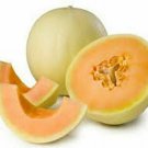 Orange Flesh Honeydew Seeds Very Sweet Fruit Fresh Seeds Fast Shipping