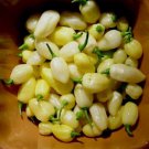 Peruvain White Habanero Pepper Seeds Fresh Seeds Fast Shipping