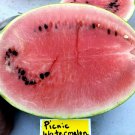 Picnic Watermelon Seeds Fresh Seeds Fast Shipping