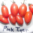 Pink Tiger Tomato Seeds Fresh Seeds Fast Shipping