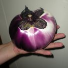 Prosperosa Eggplant Seeds Very Large Fresh Seeds Fast Shipping
