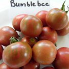 Purple Bumblebeetomato Seeds We Sell 7 Kinds Of Bumblebee Tomatoes Fresh Seeds Fast Shipping