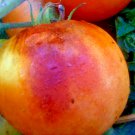 Purple Smudge Orange Flesh Tomato Seeds Fresh Seeds Fast Shipping