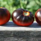 Purple Smudge Red Flesh Tomato Seeds Fresh Seeds Fast Shipping