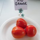 Rio Grande Tomato Seeds Large Plants With High Yields Fresh Seeds Fast Shipping