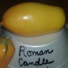 Roman Candle Tomato Seeds Great Taste Fresh Seeds Fast Shipping