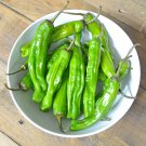Shishito Mild Cayenne Pepper Seeds Fresh Seeds Fast Shipping