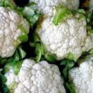 Snowball Cauliflower Seeds Fresh Seeds Fast Shipping
