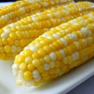 Sugarbaby Sweet Corn Seeds Organic Nontreated Seed Fresh Seeds Fast Shipping