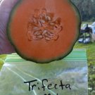 Trifecta Melon Seeds Fresh Seeds Fast Shipping