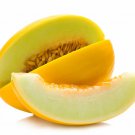 Yellow Honeydew 12 Seeds Fresh Seeds Fast Shipping