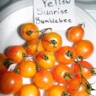Yellow Sunrise Bumblebeetomato Seeds Fresh Seeds Fast Shipping