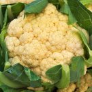 All Year Round Cauliflower Vegetable Seeds Fresh Seeds Fast Shipping