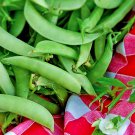 Amish Snap Peas Organic Early Heavy Yields Vegetable Seeds Fresh Seeds Fast Shipping