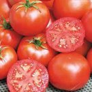 Bonny Best Tomato Grown To Organic Standards Fresh Seeds Fast Shipping