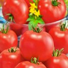 Burbank Tomato Garden Seed Grown To Organic Standards Fresh Seeds Fast Shipping