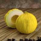 Casaba Golden Beauty Melon Seeds Cucumis Melo 20 Seeds Fresh Seeds Fast Shipping