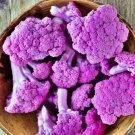Cauliflower Purple Violetta Italia Vegetable Seeds Fresh Seeds Fast Shipping