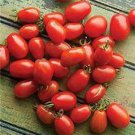 Cherry Roma Tomato Grown To Organic Standards Fresh Seeds Fast Shipping