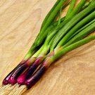 Crimson Forest Bunching Onion Garden Red Buncher Fresh Seeds Fast Shipping