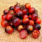 Dancing With Smurfs Tomato Indigo/Red Cherry Fresh Seeds Fast Shipping