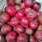 Detroit Dark Red Beets Early Variety Vegetable Fresh Seeds Fast Shipping