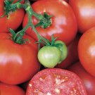Earliana Tomato Vegetable Fresh Seeds Fast Shipping