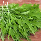 Early Mizuna Mustard Salad Greens Garden Fresh Seeds Fast Shipping