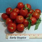 Early Stupice Tomato Extremely Early Coldtolerant Fresh Seeds Fast Shipping