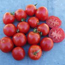 Early Tanna Tomato Gourmet Grown To Organic Standards Fresh Seeds Fast Shipping
