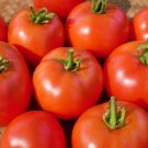 Early Willamette Tomato Grown To Organic Standards Fresh Seeds Fast Shipping