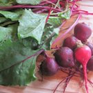 Early Wonder Talltop Beets Vegetable Fresh Seeds Fast Shipping