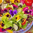 Edible Wildflower Seed Mix Bee Butterfly Gourmet Fresh Seeds Fast Shipping