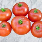 Fireworks Tomato Seeds Vegetable Fresh Seeds Fast Shipping