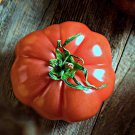 Floradel Tomato Grown To Organic Standards Fresh Seeds Fast Shipping