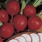 German Giant Radish Vegetable Seeds Fresh Seeds Fast Shipping