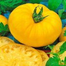 Giant Yellow Belgium Tomato Large Yellow Beefsteak Organic Standards Fresh Seeds Fast Shipping