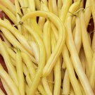 Gold Rush Wax Bush Beans Vegetable Fresh Seeds Fast Shipping